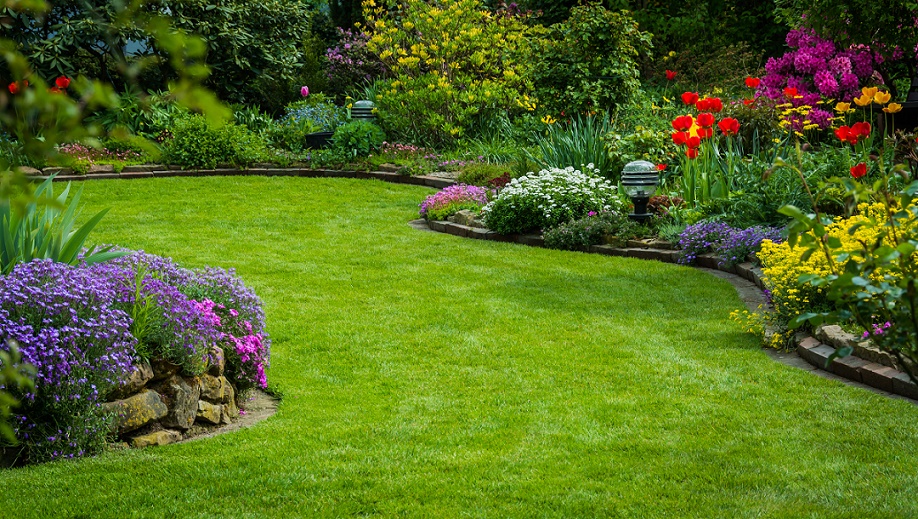 A tidy and healthy garden surrounded by flower beds