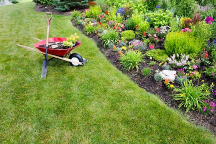 Residential gardening and landscaping