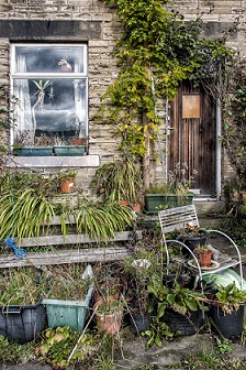 An untidy garden needing care and attention